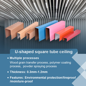 Phòng tập thể dục nhôm baffle trần giả hệ thống - Product Image 3