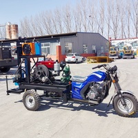 Perforatrice mobile de puits d'eau de 150 m, mini forage de puits d'eau artésienne, petite machine de forage à moteur