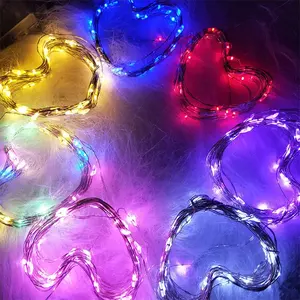 Hot Sell Christmas Outdoor Decoration Warm White Miniature LED Copper Wire Battery String Lights