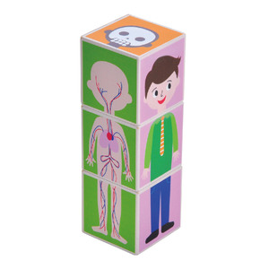 Blocs de système humain éducatif en bois Organes de puzzle en bois; Os; Muscles Jouets pour enfants - Product Image 2