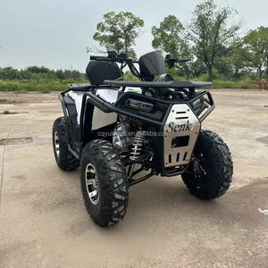<span class=keywords><strong>Quad</strong></span> 4x4 tout-terrain 125cc 200cc 400cc 500cc pour adultes, VTT, UTV, véhicule utilitaire agricole, moto tout-terrain pour parcs sportifs - Product Image 3