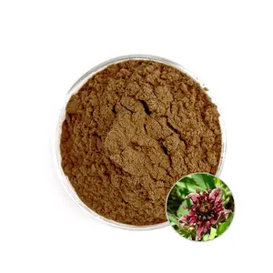 Best Selling 100% Natural Comarum Palustre Extract/Comarum Palustre Extract Powder