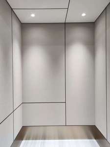 Ascenseur en acier inoxydable titane à entraînement par courant alternatif à traction plastique avec un excellent prix OTIS - Product Image 3