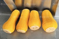Industriële platte pompoenschilmachine voor voedselverwerkingsfabriek |   Kabocha-schilmesje