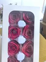 Tête de rose légèrement défectueuse en liquidation – Rose éternelle stabilisée naturelle de 4-5 cm à prix réduit