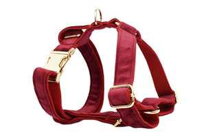 Pettorina per <span class=keywords><strong>Cani</strong></span> in Velluto Personalizzabile XS-XL, Logo Personalizzabile, Vari Colori e Taglie, Regolabile, Stile H, Accessorio Resistente - Product Image 4