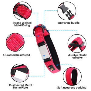 2023 Nieuwe Ontwerp Verstelbare Nylon Hondenhalsband Nacht Veiligheidsreflector Strip Gepersonaliseerde Naamplaatje Hondenhalsband - Product Image 5