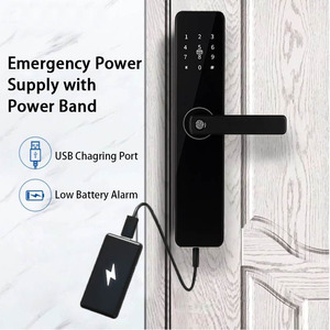 Cổng USB Thông Minh Khóa Điều Khiển Từ Xa Key Wifi Cảm Ứng Bàn Phím Cho Cửa An Ninh Ổ Khóa Thông Minh Cho Nhà An Ninh Bộ Nhớ Thẻ Mật Khẩu - Product Image 4