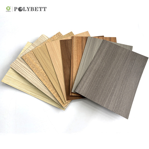 Polybett Hpl Blad 0.7 Mm Houtnerf Hpl Laminaat Met Grote Prijs - Product Image 2