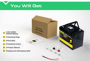 En stock UE Pologne Batterie LiFePO4 12V 24V 100Ah 200Ah 300Ah Lithium à décharge profonde pour alimentation solaire - Product Image 6