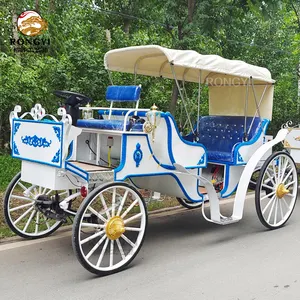 Blue Wedding Electric Sightseeing Horse Carriage / Tourism Sightseeing carriage Direct Manufacturer/double row sightseeing