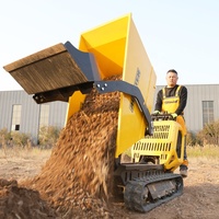 AUSTTER Dumper sur Chenilles Hydraulique Intégral de 800 Kg, Propulsé par Moteur à Essence B&S / Ducar de 15 CV, pour Chantiers