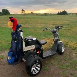 Tricycle électrique Citycoco 3 roues pour la ville, chariot de golf, livraison rapide, <span class=keywords><strong>scooter</strong></span> de golf, tricycle - Product Image 2
