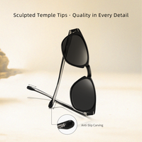   Lunettes de soleil polarisées Lifestyle en acétate et TR90, protection UV400, monture classique, personnalisables
