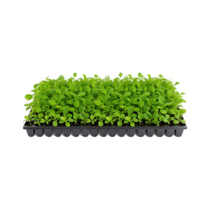 Plateau de semis <span class=keywords><strong>rectangulaire</strong></span> léger en plastique PP <span class=keywords><strong>à</strong></span> 102 alvéoles pour usage <span class=keywords><strong>extérieur</strong></span>, idéal pour la propagation des <span class=keywords><strong>plantes</strong></span>, avec couvercles inclus - Product Image 3