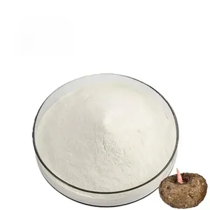 Suministro de harina de raíz de glucomanano Konjac orgánico en polvo