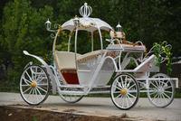 Calèche de luxe classique en forme de citrouille sans chevaux, personnalisable, pour transport spécial de mariage
