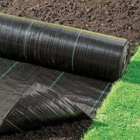 Toile de paillage PP non tissée pour le contrôle des adventices, couverture de sol pour l'agriculture, la ferme, le jardin, la pépinière, taille personnalisée