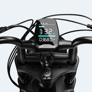 Bici Elettrica Ibrida con Telaio in Acciaio al Carbonio 250W 48V 15Ah Freno a Disco E-bike da Città con Due Posti e Pneumatici Larghi - Magazzino UE - Product Image 4