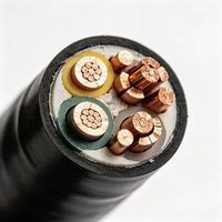 Selubung Kabel Daya Khusus Tahan Asam Alkali Kekuatan Tinggi Tahan Air untuk Jalur Transmisi Daya di Tempat Lembab Luar Ruangan
