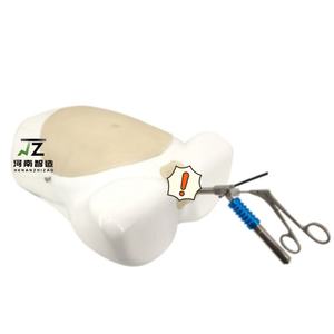 רפואי מדע היסטרוסקופיה סימולציה אימון מכשיר להוראה אדם דגם של גינקולוגיות hysteroscopic ניתוח - Product Image 1