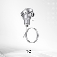 Sensor Tahanan Termal Digital Seri NCS-TC Termokopel RTD Pt100 Terpasang Output 4-20MA OEM/ODM IP65