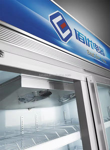 Congélateur vertical commercial pour fruits de mer, 958 L, double porte vitrée, pour bœuf et crème glacée - Product Image 3