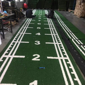 MCG-GYM mcg 15mm Chiều cao cọc PE thân thiện với môi trường mật độ cao sàn cỏ nhân tạo cho phòng tập thể dục trong nhà chạy theo dõi-màu tùy chỉnh - Product Image 1