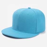 Logo brodé couleur unie vierge Sports de plein air Hip-hop Snapbacks chapeaux Logo personnalisé rue Style Punk casquette de Baseball pour hommes