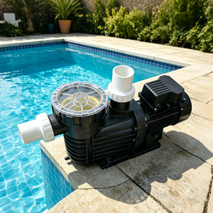 Pompe de circulation d'eau pour piscine 1.1KW, 1.5KW, 2.2KW, fournie par l'usine, pour systèmes de traitement de l'eau - Product Image 2