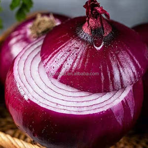 Oignons Rouges Biologiques Non Pelés Haute Performance en Sacs Filets, Bulbes Frais Ronds pour Germination, Ju Fu 4-10CM 0.5kg - Product Image 6