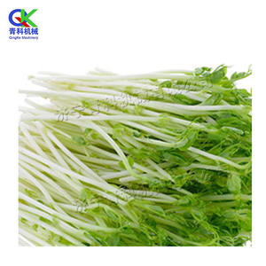 Vassoio semiautomatico per cavità di pepe macchina per vivaio per piantine macchina per semina di vassoi per cavità di verdure/fiori 220V strumento per vivaio di <span class=keywords><strong>semi</strong></span> - Product Image 2