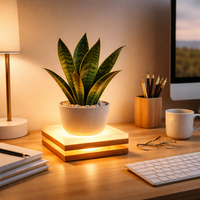 Lampe de sol moderne à LED pour plantes, support en bois pour pot de fleurs, lampe de bureau pour éclairage d'ambiance intérieur