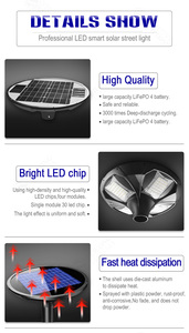 20 Watts LED Solar Garden <b>Light</b> With IP65 Die Casting Aluminum Post Top <b>Battery</b> Power Supply FL-TYD-BT1-20W Solar Garden <b>Light</b> F - Product Image 4