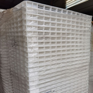 Bandeja apilable de plástico PP de grado alimenticio para congelador, secado de frutas, verduras, <span class=keywords><strong>mariscos</strong></span> - Product Image 6