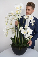 Plante en pot d'orchidée Phalaenopsis blanche artificielle personnalisée de 60 cm, fleur au toucher réel, décoration de table pour la maison et le bureau