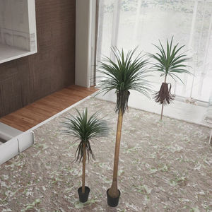 Árbol de Sangre de Dragón Artificial de 150 cm (59 Pulgadas) de Altura, Bonsái con 120 Hojas de Plástico, Planta Artificial de Interior, Dracaena Draco Artificial - Product Image 6