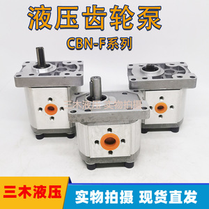 ปั๊มไฮดรอลิกเกียร์ Luosheng รุ่น CBN-F310 350 บาร์ 1 สเตจ ขับเคลื่อนด้วยไฟฟ้า ชุดปั๊มน้ำมันแรงดันสูง - Product Image 5