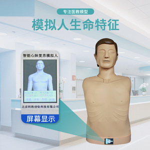 Customized semi-circular CPR manikin/cardiopulmonary resuscitation (CPR) training <b>dummy</b> KS/CPR610B, developed by Jike - Product Image 4