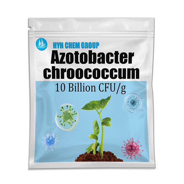Agricultural Grade High Purity Powder Azotobacter Chroococcum Biofertilizer10 Billion Cfu/g