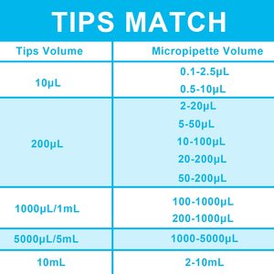 ปลายปิเปต 1000L 500 ชิ้น ใส สีฟ้า พลาสติกโพลีโพรพิลีนอเนกประสงค์สำหรับการถ่ายโอนของเหลวในห้องปฏิบัติการ - Product Image 5