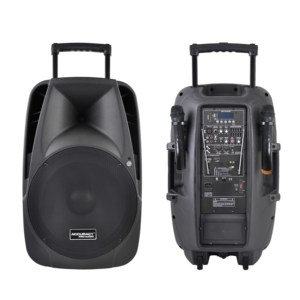 Accuracy Pro Audio PMQ15AVH Plastic DJ Party Home Rechargeable Portable Wireless <strong>Microphone</strong> Battery Powered <strong>Speaker</strong> <strong>with</strong> Trolley - Product Image 3