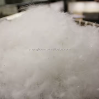 Vente en gros duvet de canard blanc en plumes d'oie veste bon marché rembourrée en duvet pour couettes oreillers coussins