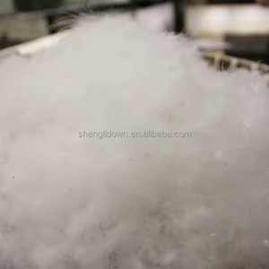 Bán buôn Trắng vịt ngỗng lông xuống giá rẻ áo khoác điền lông xuống cho mền gối đệm - Product Image 6