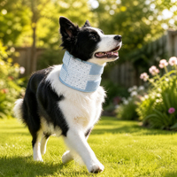 Collier de récupération pour animaux de compagnie en gros – Attelle de cou respirante et réglable anti-léchage post-opératoire – Support de cou personnalisé OEM