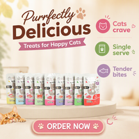 Nourriture humide pour animaux de compagnie en sachet de 100 g, riche en viande, saveur délicieuse, poulet et légumes mélangés, repas nutritif pour chats, directement de l'usine