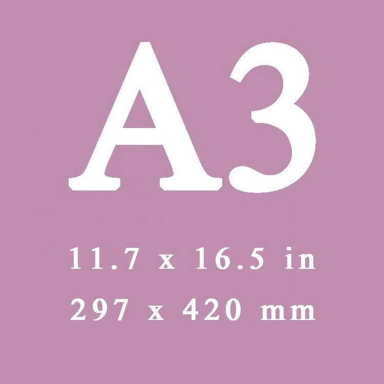 A3