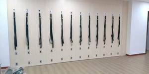 Accesorios para Pared de Yoga, Sistema de Pared para Yoga, Excelentes Cinturones y Barras de Balanceo Pélvico para Yoga - Product Image 4