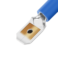 Terminal enfichable Phoenix mâle-femelle avec ressort FDD et bande MDD, cuivre haute conductivité pour des connexions électriques stables
