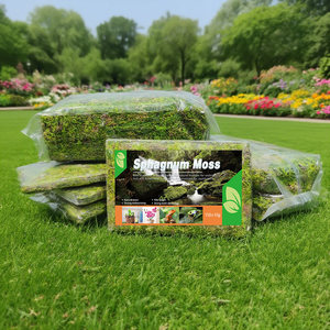 Musgo Sphagnum Seco Orgánico de Alta Calidad, Suministros Premium para Reptiles y Anfibios para la Hibernación/Escalada de Tortugas - Product Image 1
